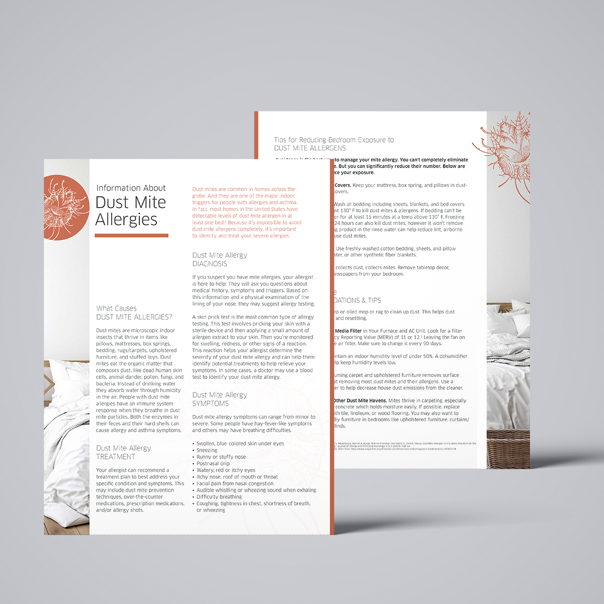 Dust Mite Allergies Patient Education Handout