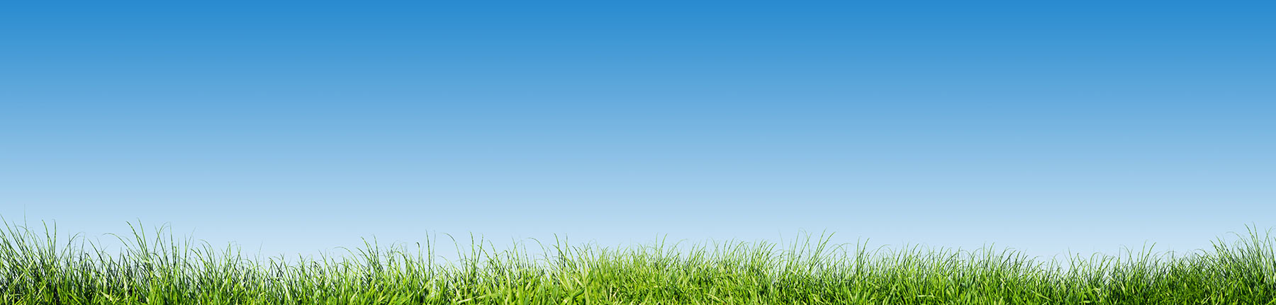 Product Information - HollisterStier Allergy