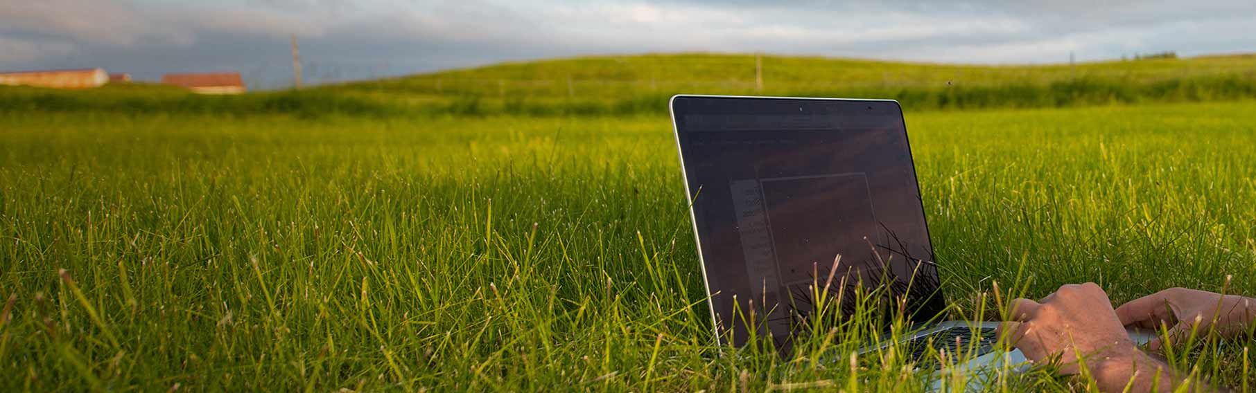 HollisterStier Allergy