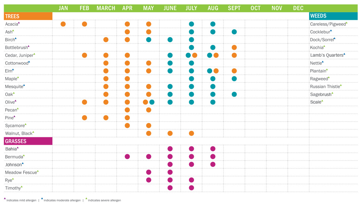 Allergy Cross Reactivity Chart