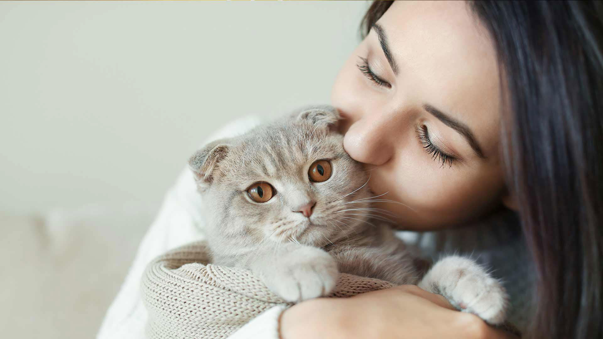 Home HollisterStier Allergy