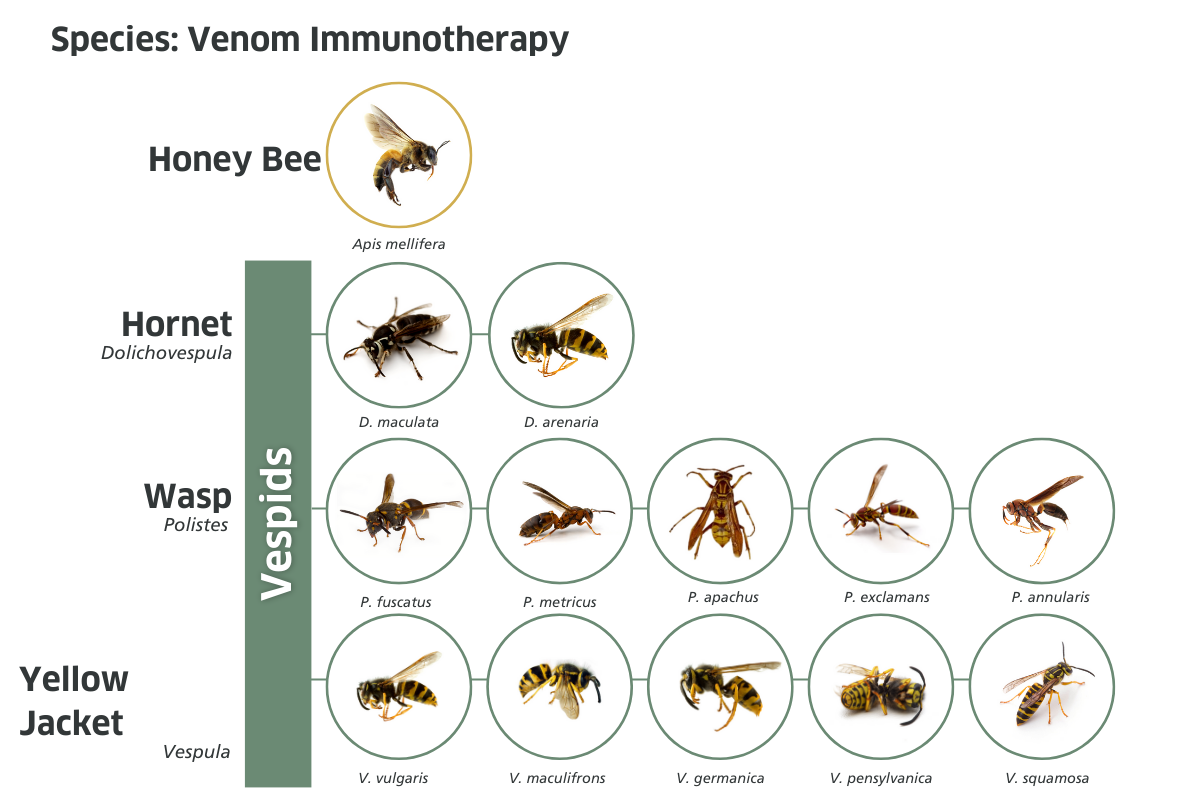 Graphed image of the various venom immunotherapy species used in treatment extracts.