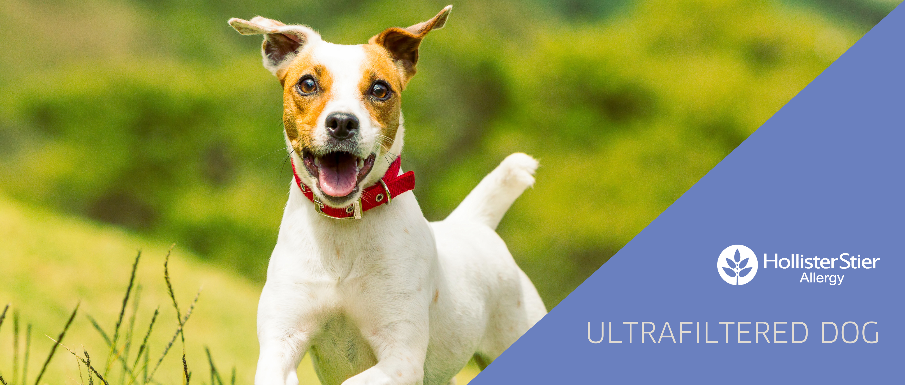 ULTRAFILTERED DOG ultrafiltered dog extract