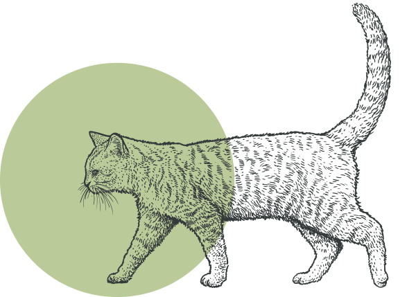 dog-extract Cat Extract