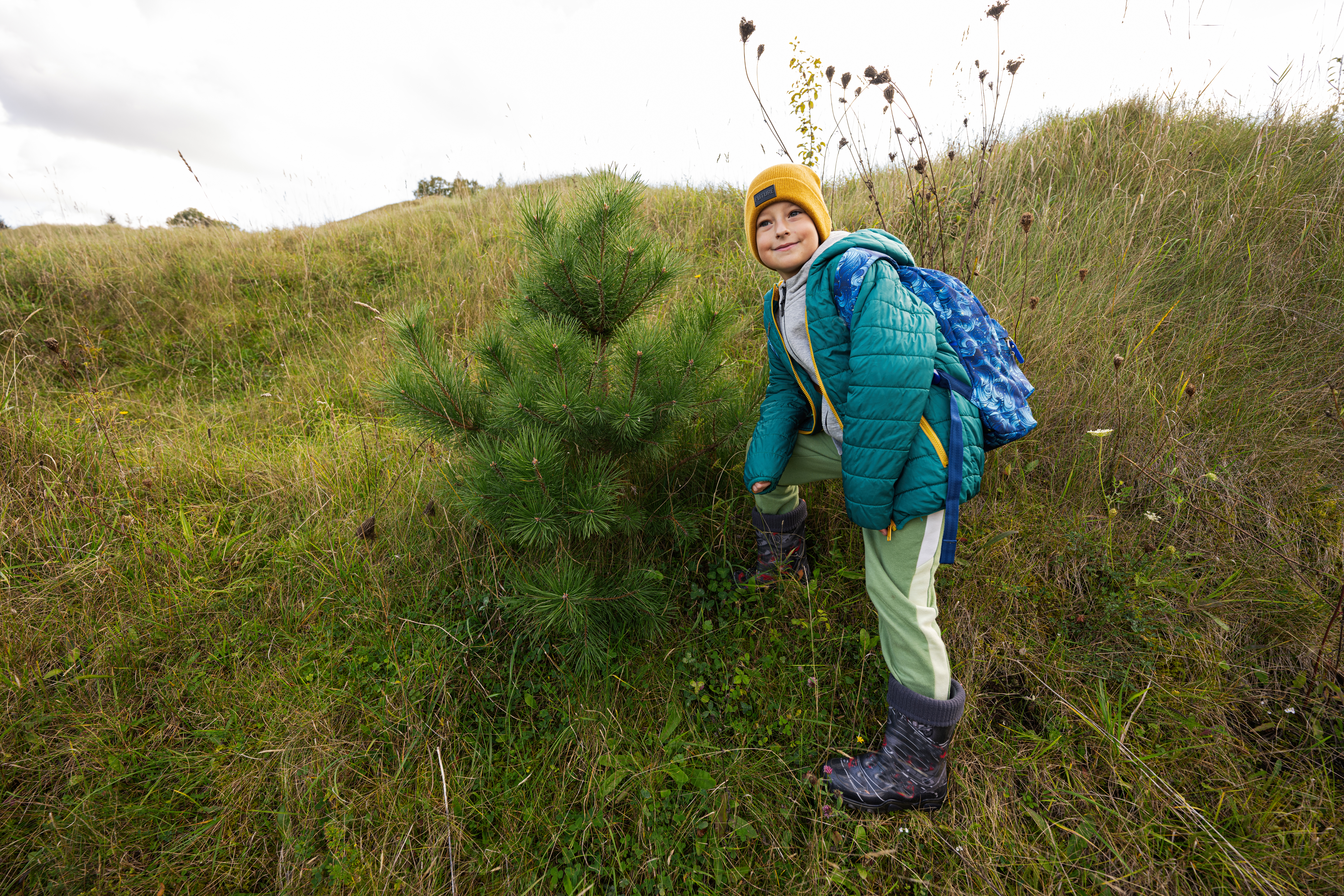 Cute boy stand near pine tree at autumn hill wearing a green jac